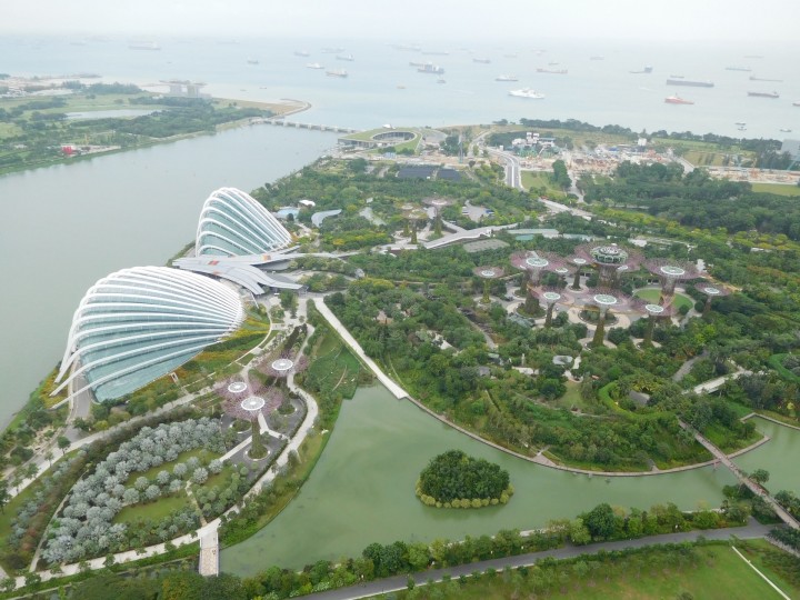 ガーデン視察inシンガポール 仙台市の庭 エクステリア 外構 グリーンケア
